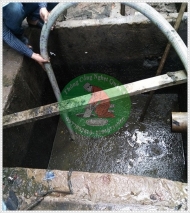 Một số biện pháp xử lý rác thải hữu cơ hiệu quả