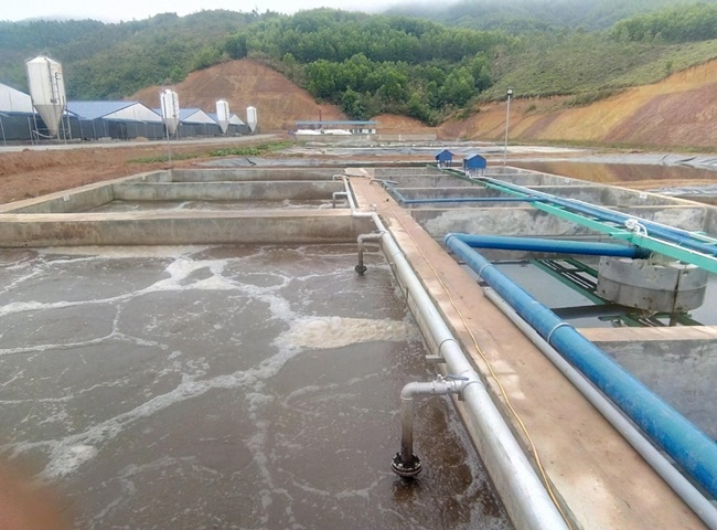 Top 5 c&ocirc;ng ty cung cấp vận chuyển b&ugrave;n vi sinh quận T&acirc;n B&igrave;nh