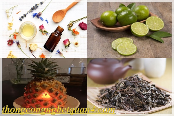 19 cách xử lý mùi hôi trong nhà hiệu quả