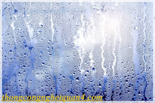 nguyên nhân gây ẩm mốc phòng ngủ