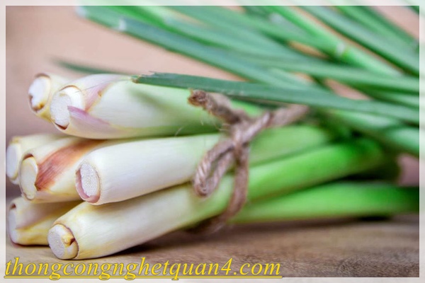 khử mùi hôi bằng sả