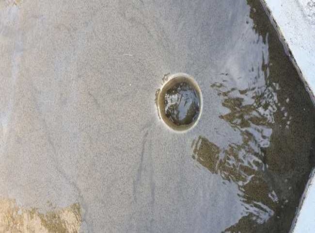 Top 5 công ty vận chuyển bùn vi sinh ưu điểm nổi bật